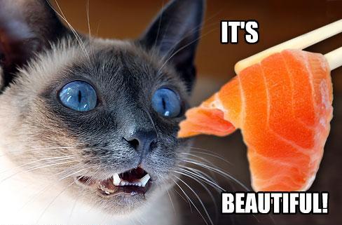 Это прекрасно!