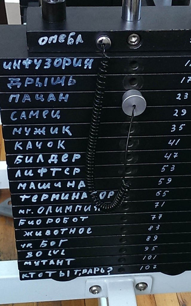 Тем временем в качалке