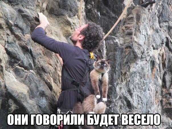 Безудержное веселье