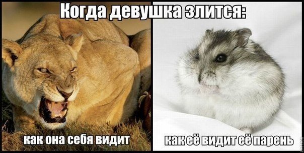 Когда девушка злится