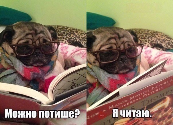 Можно потише? я читаю