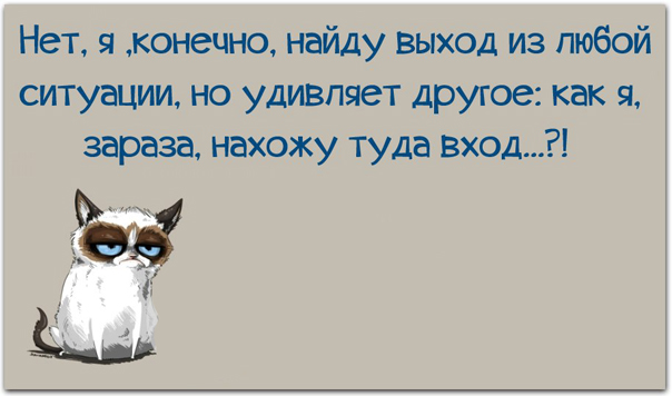 ТОП 10 прикольных афоризмов