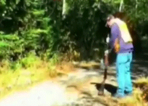 Победители по жизни