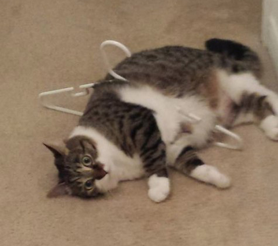 Когда жизнь зашла в тупик