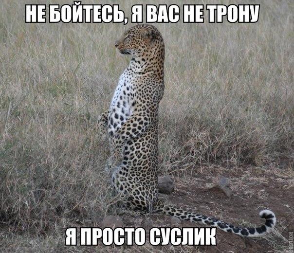 Не бойтесь, я вас не трону