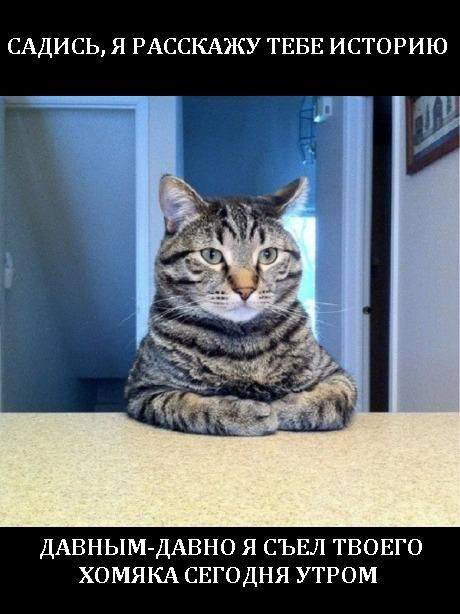 Садись, я расскажу тебе историю