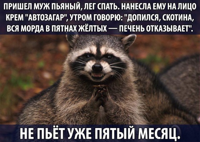 Прикол про мужа и алкоголь