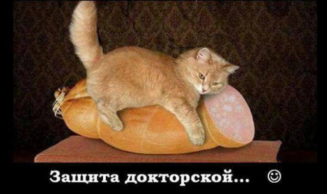 Защита докторской