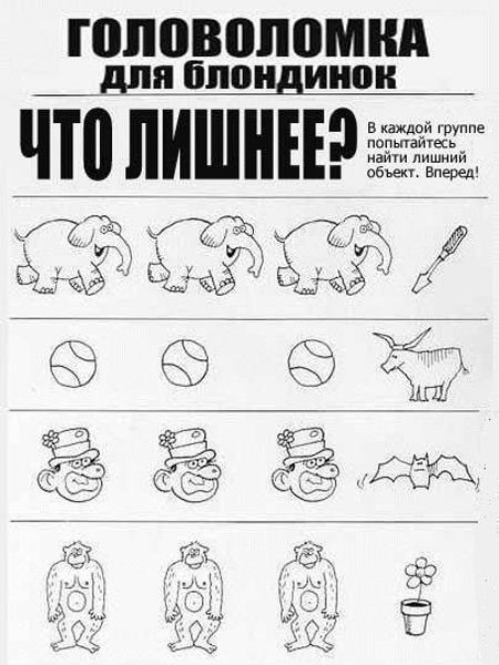 Головоломки для блондинок