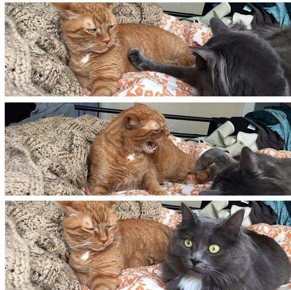 Отношения — тяжелый труд