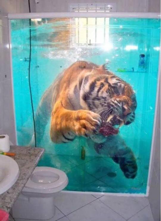 Зашёл только пописать, заодно и покакал