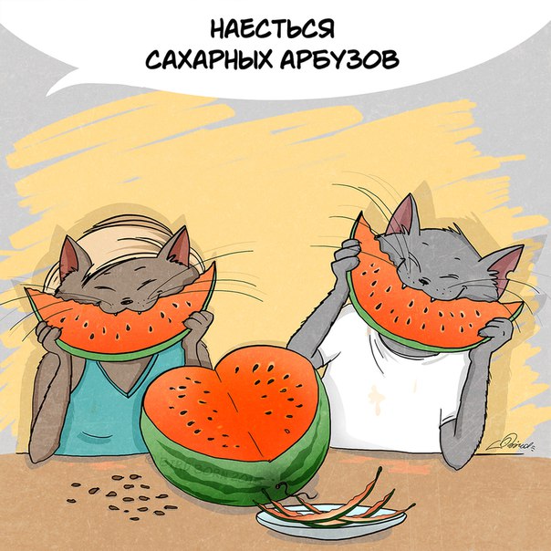 Лето заканчивается. Что еще нужно успеть...