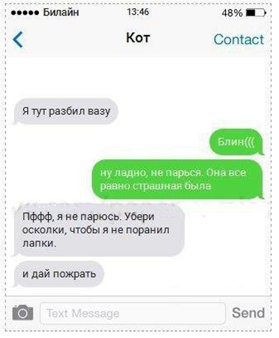 Смс переписки от кота