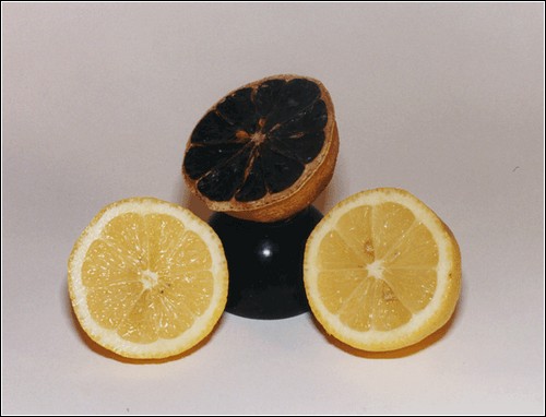 Всемирный день музеев