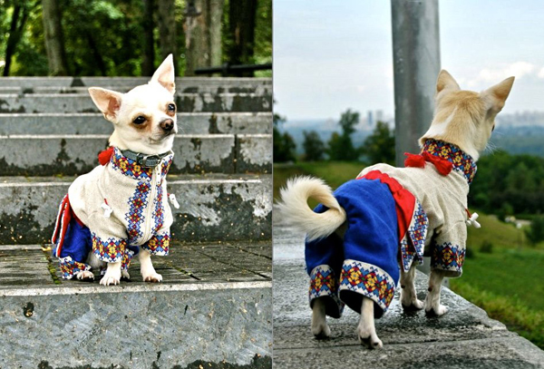 Животные в вышиванках