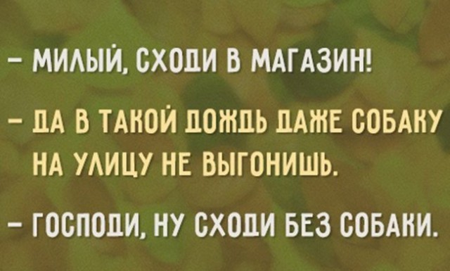 13 лучших картинок про осень