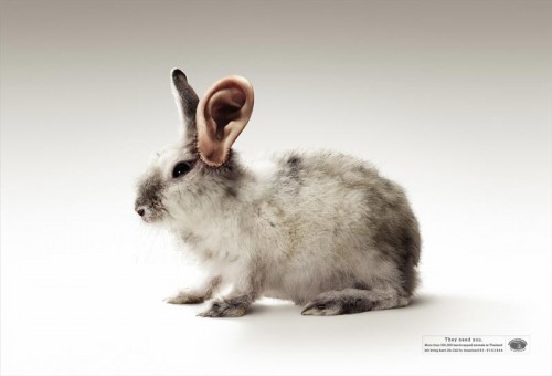 Они нуждаются в тебе