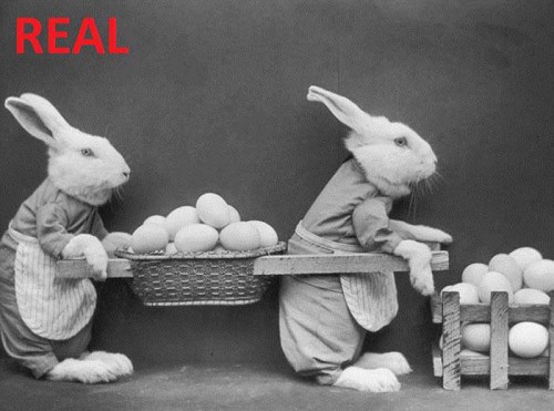 Правда или ложь?