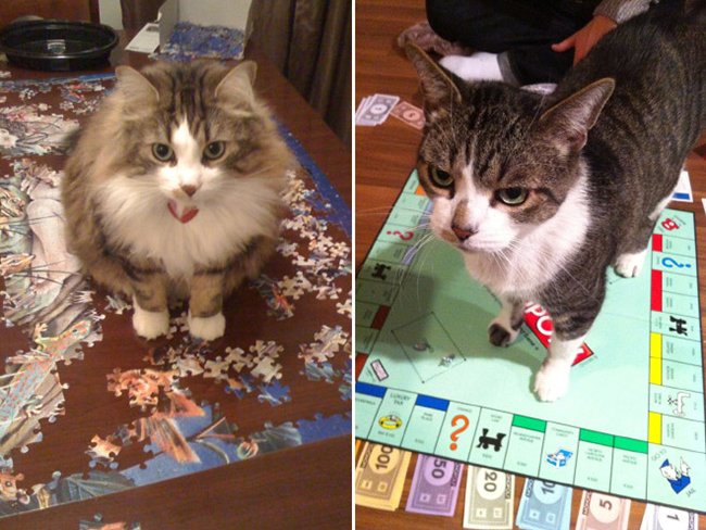 Поиграй со мной