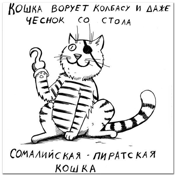 Породы котов, о которых вы не слышали