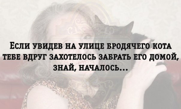 Подборка одесского юмора