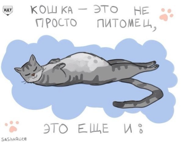 Кот - это не просто питомец