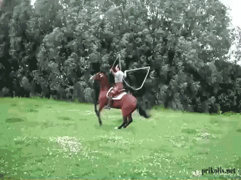 Прыжки со скакалкой на лошади