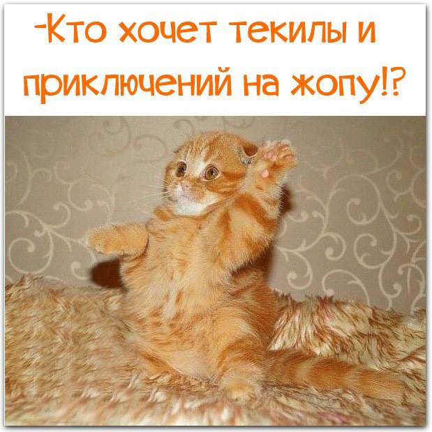 Кто хочет приключений?