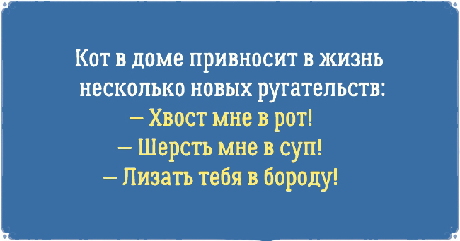 Смешыне картинки про котов