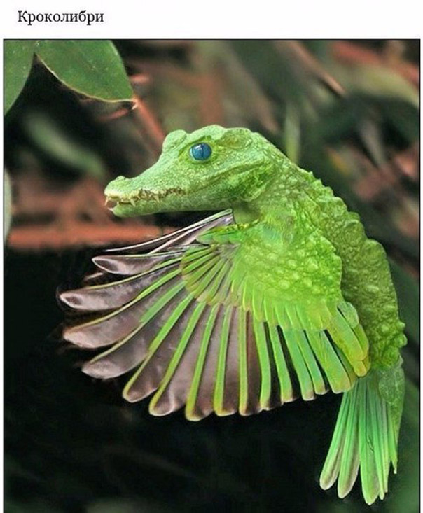 Мифические животные