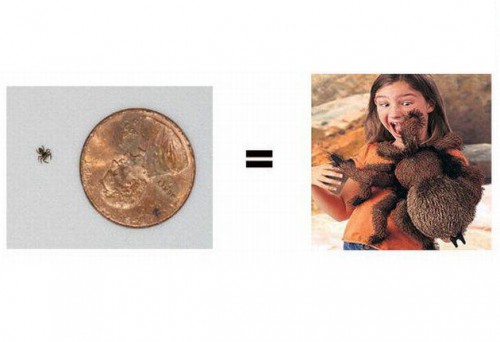 Мир глазами женщин