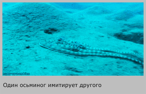 Опыты, которые не увидишь в школе