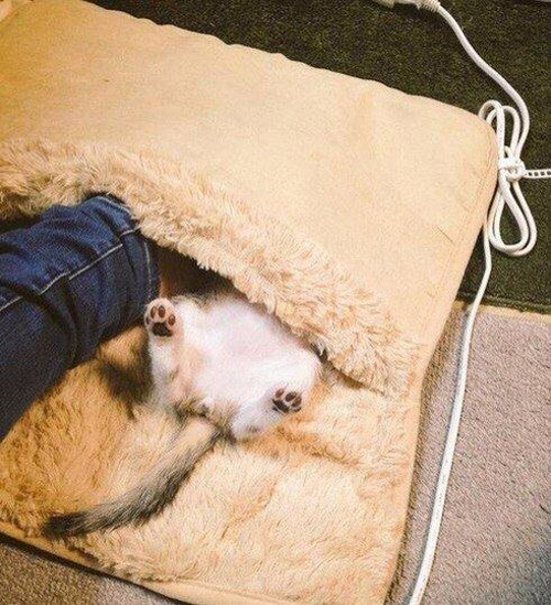 Похолодало. Купили себе ножной обогреватель