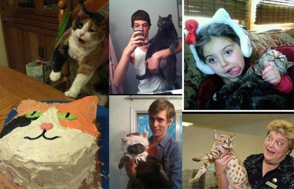 Когда приехали внуки, кошка сразу притворилась мертвой