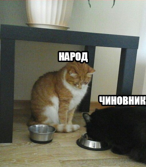 Комикс "Политики и народ"