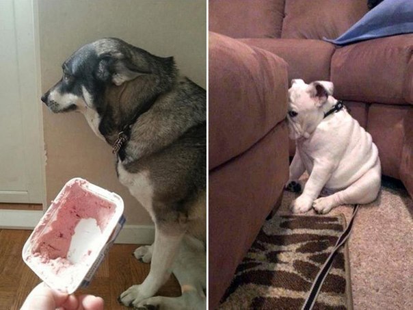 Понять и простить