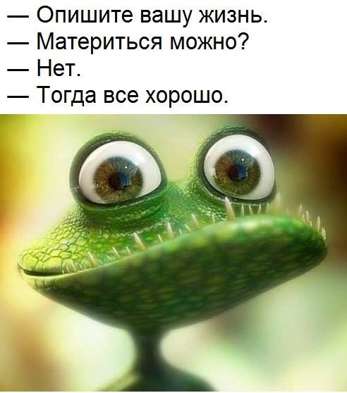 Моя жизнь в двух словах