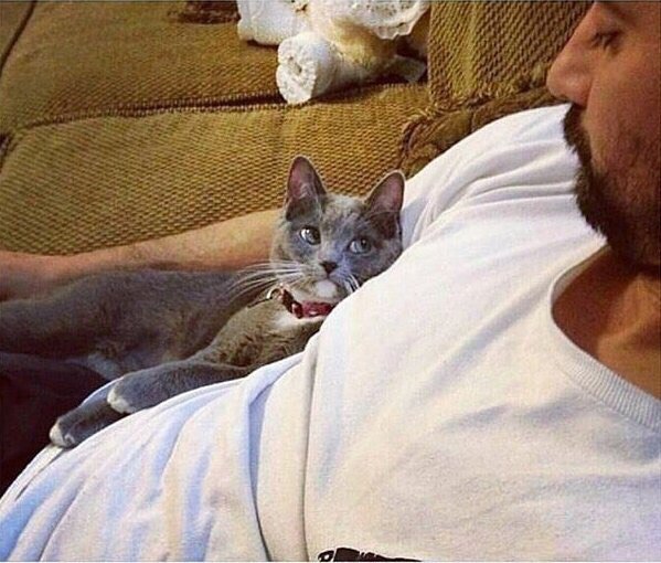 Взгляд твоей девушки каждый раз, когда в фильме парень делает что-нибудь романтичное