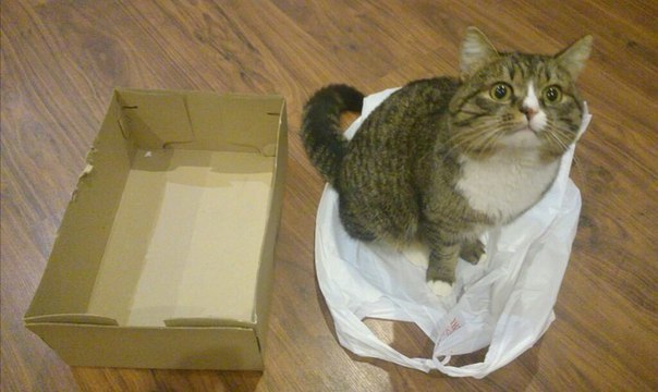 Это был самый сложный выбор в его жизни