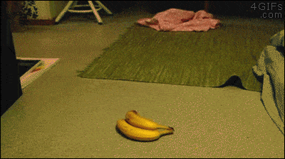 Котик и банан