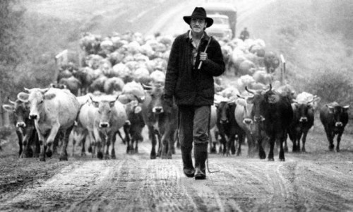 три тысячи чертей-баранов!