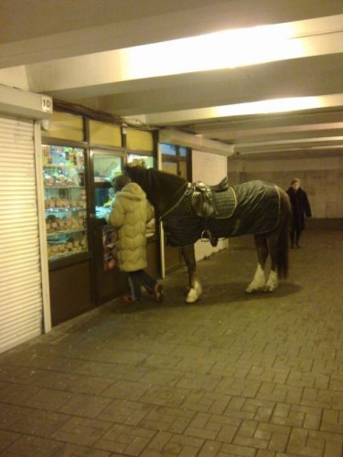 и мне пирожок с овсом...!