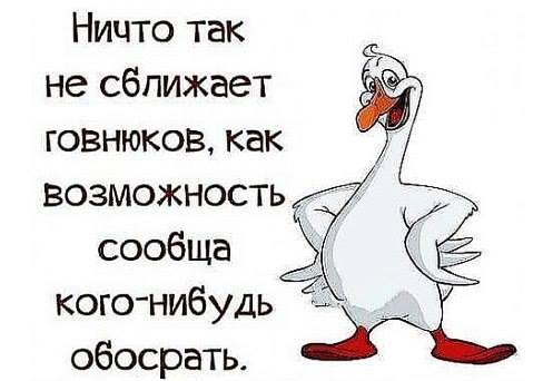 Как сближаються говнюки