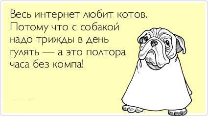 ТОП лучших Atkritok