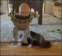 Малыш и котик