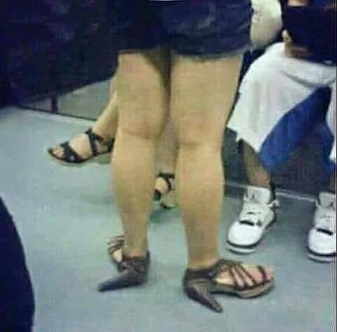 Откинула копыта