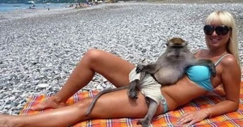 Приколы в каждом фото