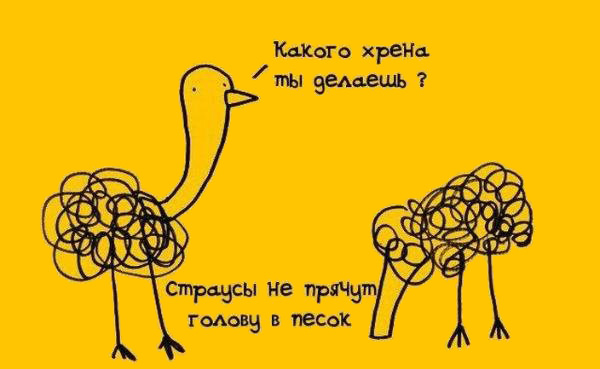 Интересные факты в картинках