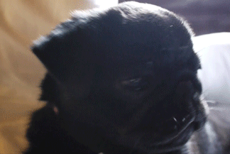 Когда ты полон сил и энергии