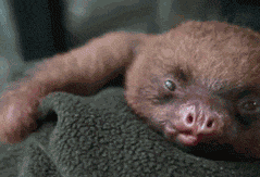 Когда ты полон сил и энергии